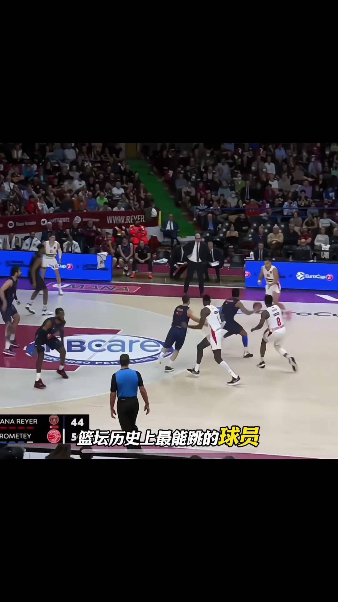 世界级篮球赛事再添新亮点，球迷狂欢不已的简单介绍