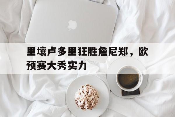关于里壤卢多里狂胜詹尼郑，欧预赛大秀实力的信息