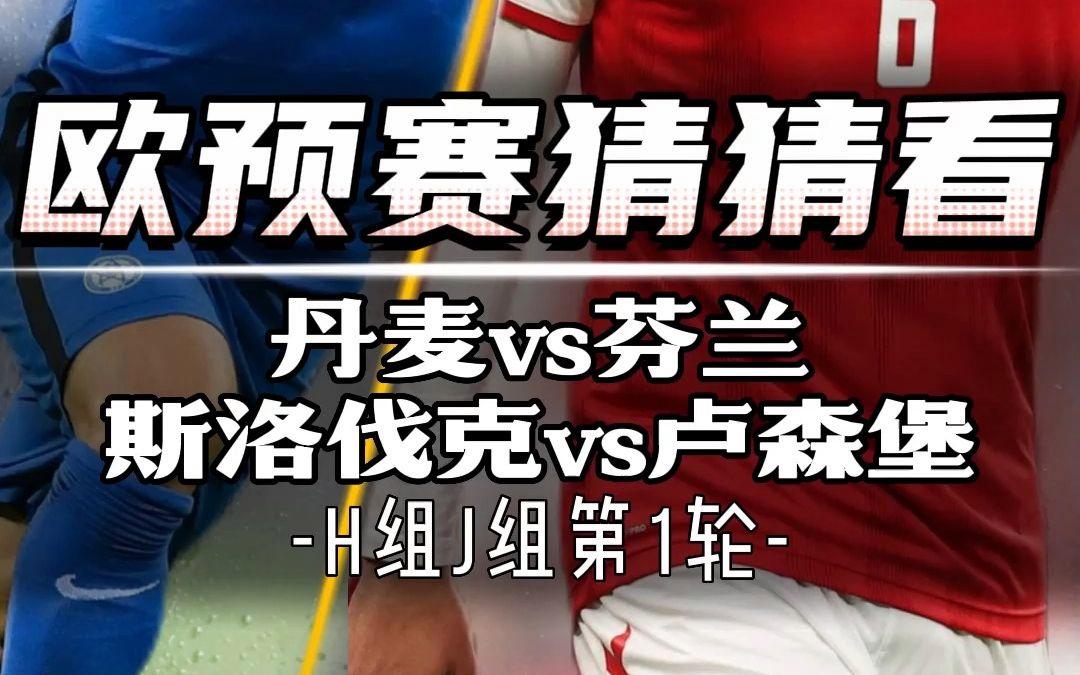 芬兰辛勤耕耘斯洛伐克，欧预赛晋级前途孤寂
