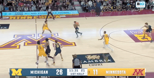 森林狼队主场击败老鹰队，终结连败